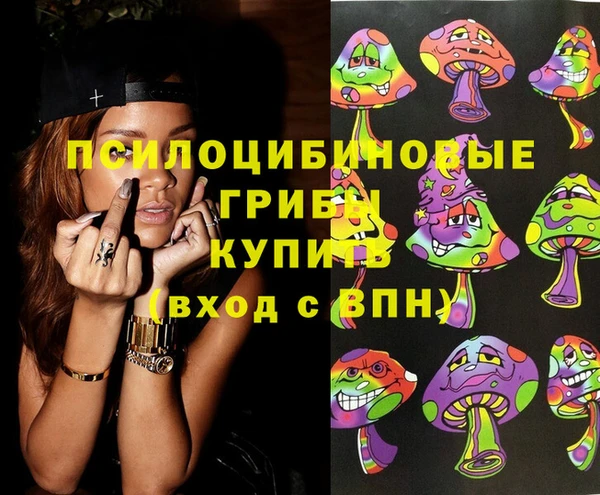 spice Бронницы
