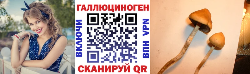 Псилоцибиновые грибы мицелий  Мегион 